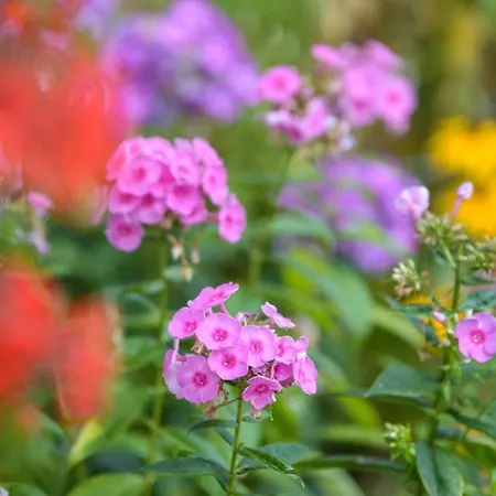 Bergfranzenhof アパート オッペナウ